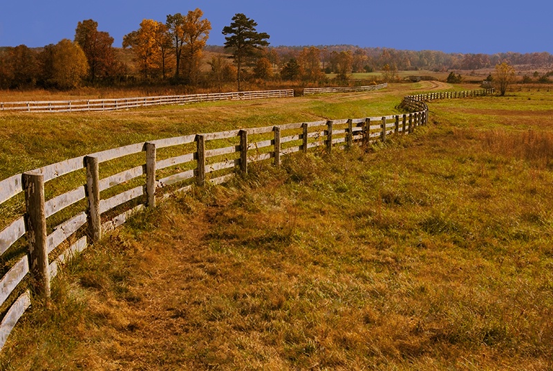 Fenceline