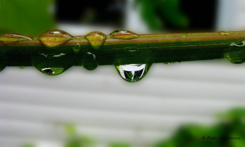 My House In The Rain