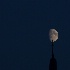 2Solitary Moon - ID: 14998889 © Ilir Dugolli