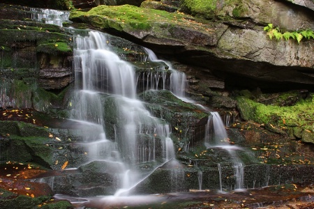 Shay Falls