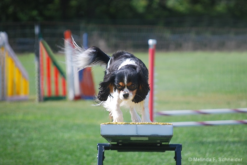 Tipping the Seesaw