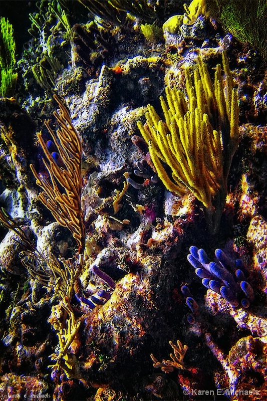 Natural Caribbean Reef - ID: 15001463 © Karen E. Michaels