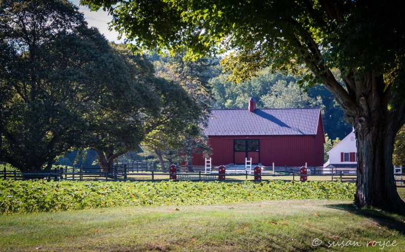 Liondale Farm in Fall