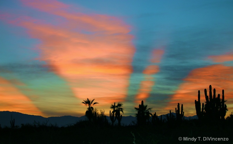 Baja Sunrise Projector