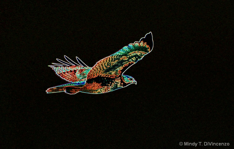 img7