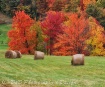 Fall in New Engla...