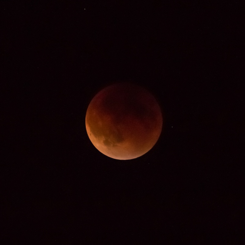 Blood Moon in Full Eclipse