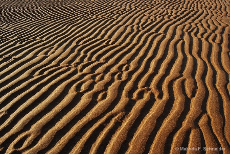 Patterns in the Sand