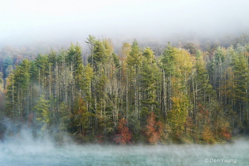 Early Morning Fog