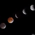 © Elliot Barnathan PhotoID# 15003465: Super Blood Moon