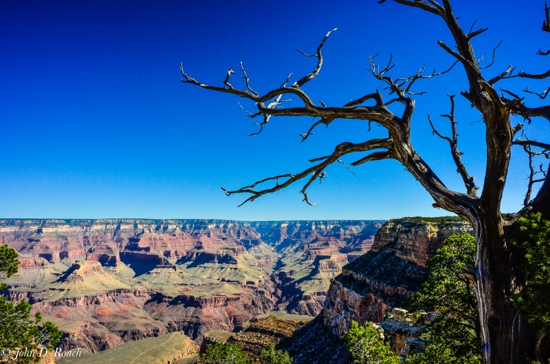 Grand Canyon - A March in Geological Time