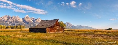 Moulton Barn in Golden Hues