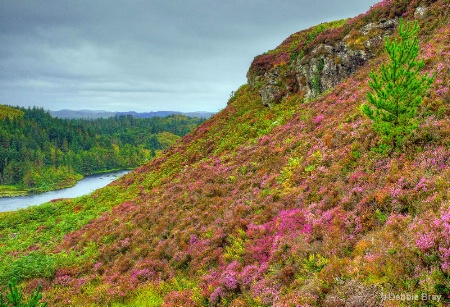 Scottish Highlands