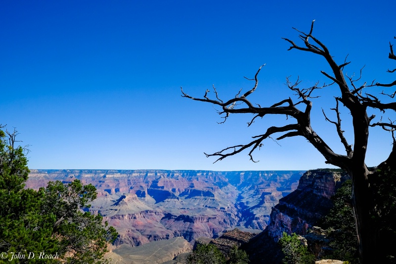 Grand Canyon trail and beyond #2 - ID: 15005575 © John D. Roach