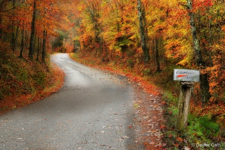 Copperhead Road