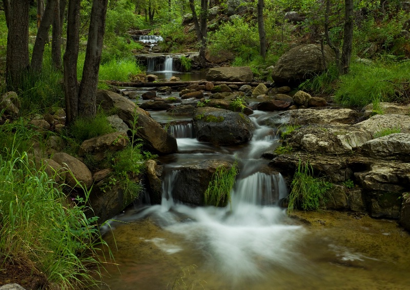 A Peaceful Place
