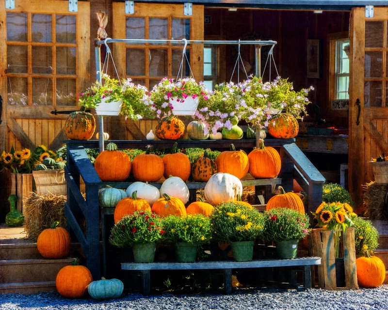 Farm Stand