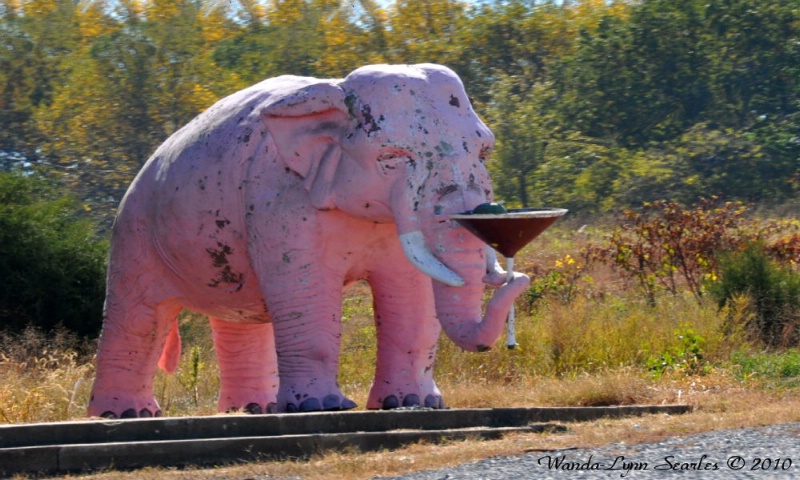 Pink Elephant