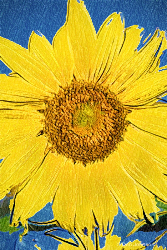 Artistic PA Sunflower 6-0 f lr 9-25-15 j010