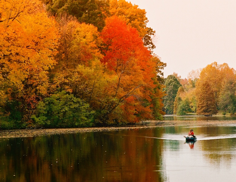 Autumn Outing