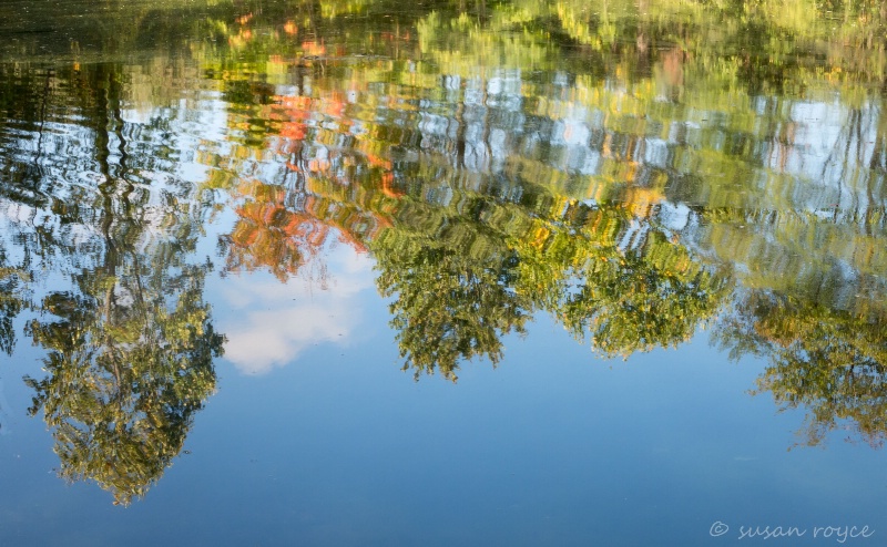 Fall Reflection