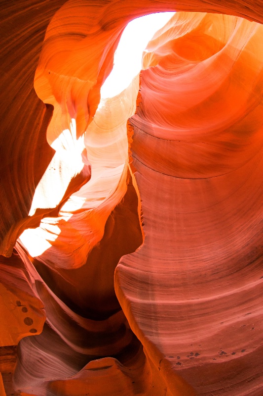 Lower Antelope Revisited 