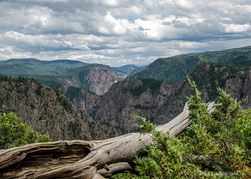 Lookin' South II