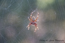 October 2015 Photo Contest 2nd Place Prize Winner