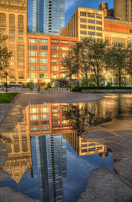 Puddle Reflection