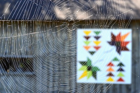 Web and Barn Quilt