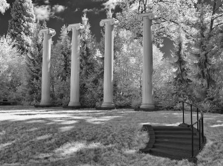 The Columns