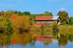 Fall Festival Col...