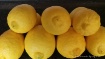 Limones