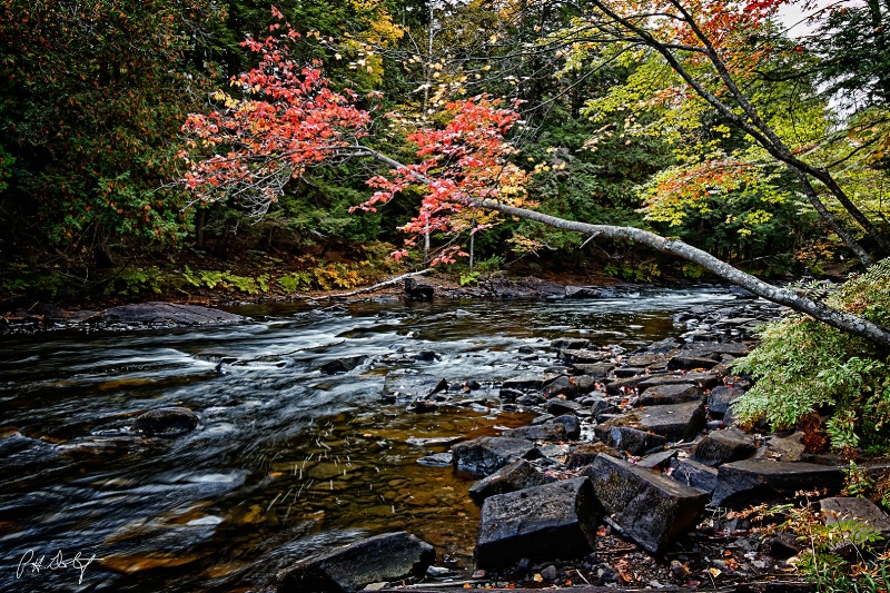 Along The Oxtongue River