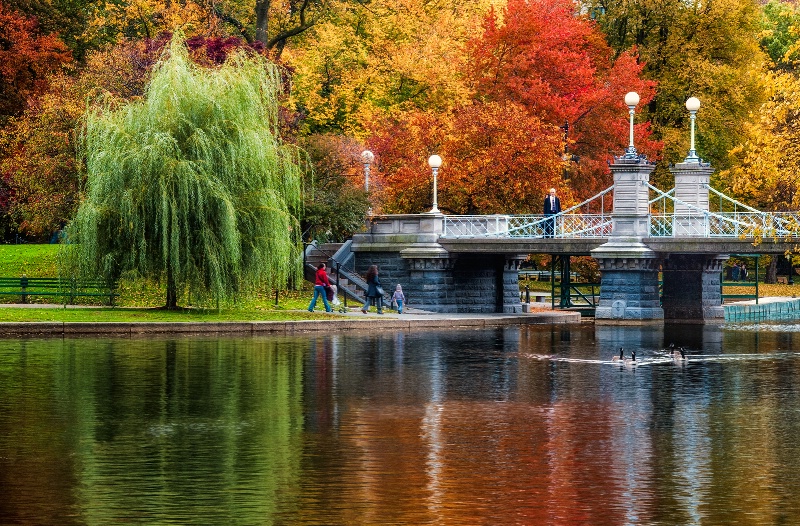 The Public Garden in Autumn