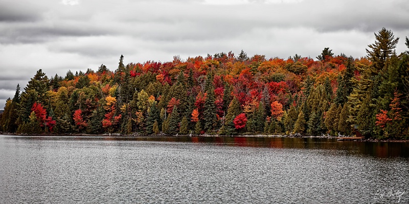 Autumn On Canoe Lake