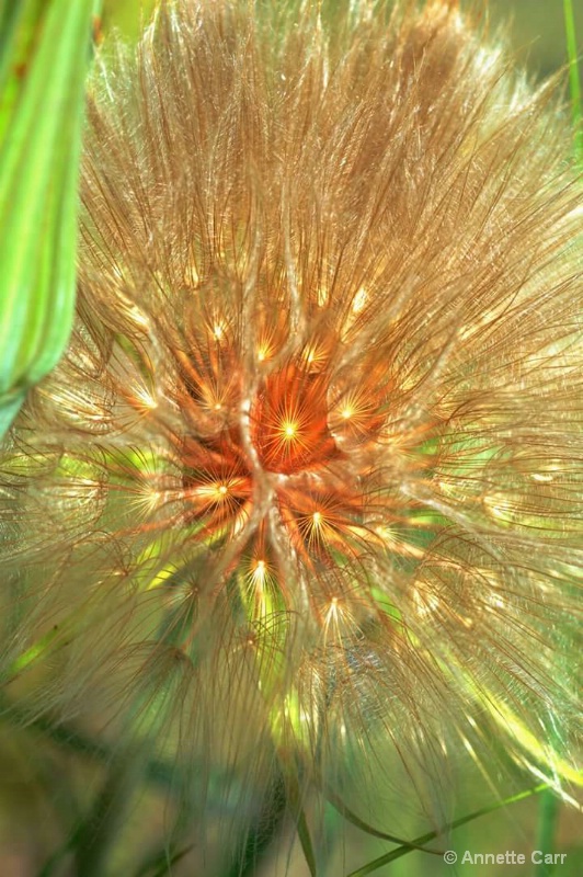 Luminescence