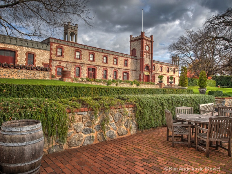 Barossa Valley Vineyard