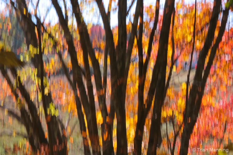 Abstract_ Fall Colors Along the Rail Trail