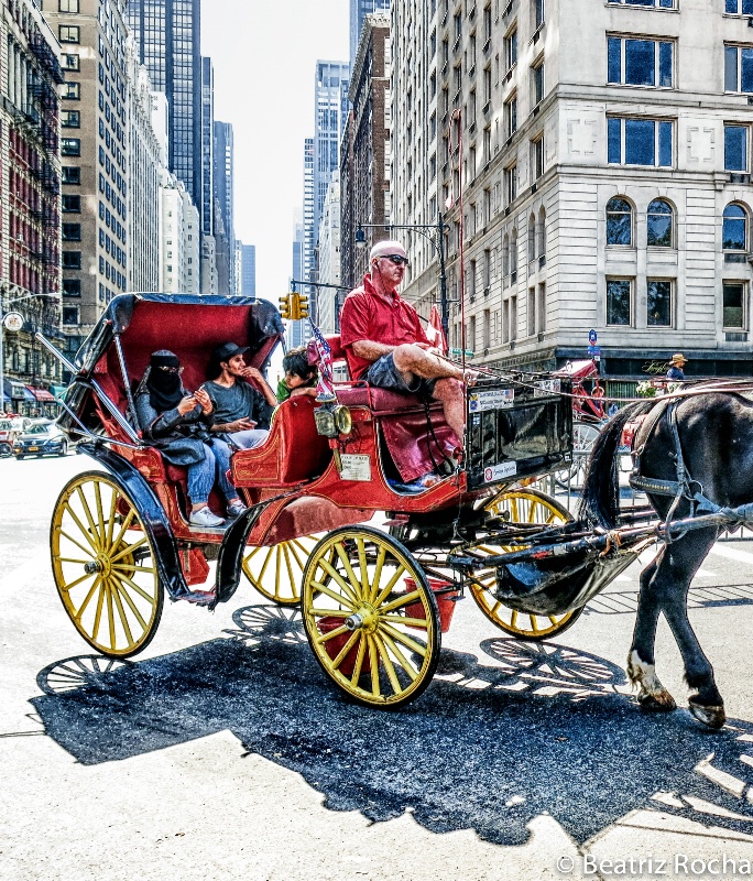 Carriage Ride