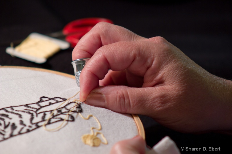 The Hand of the Embroiderer