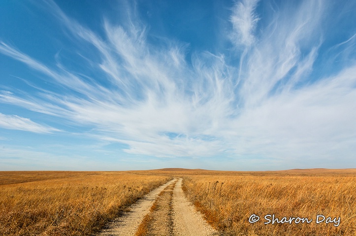 Flint Hills