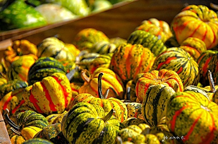 Halloween at Tates Farm...