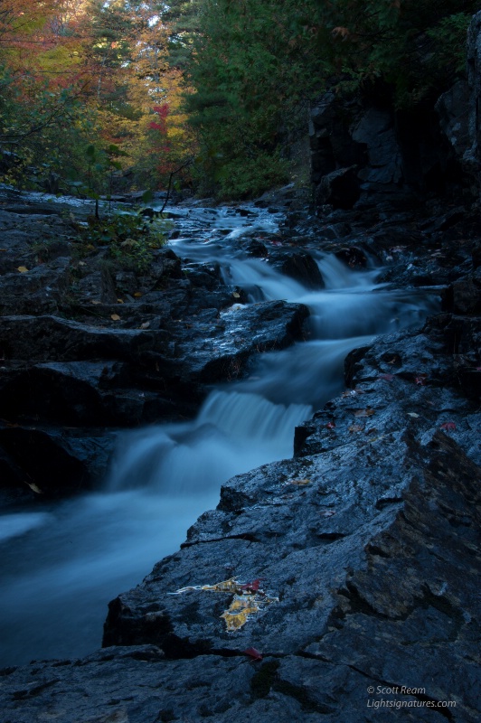 nd4 8561 - ID: 15015859 © Scott Ream