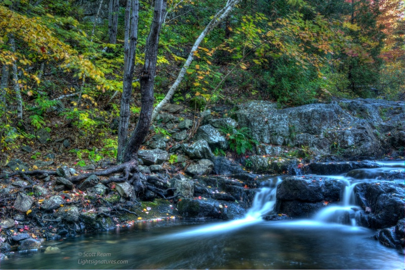 nd4 8574 5 6 7 painterly - ID: 15015862 © Scott Ream