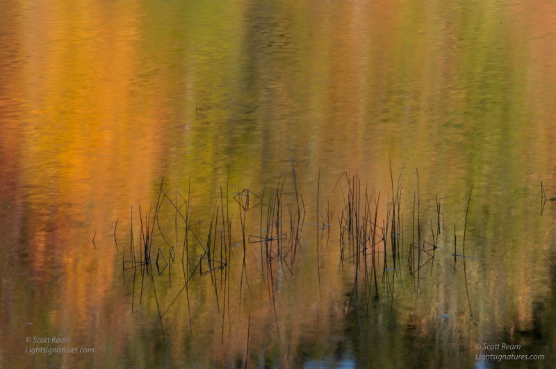 nd4 8663 - ID: 15015871 © Scott Ream