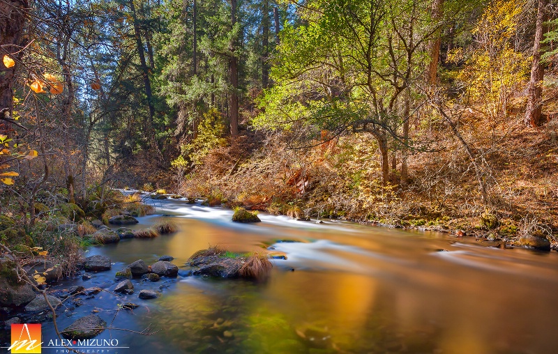 Burney Creek