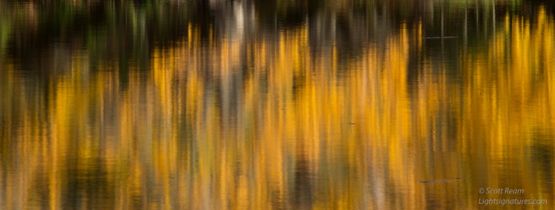 nd4 8672 - ID: 15017687 © Scott Ream