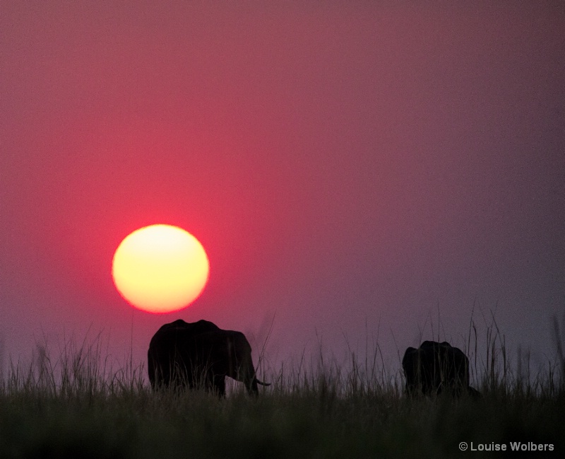 African Sunset - ID: 15017765 © Louise Wolbers