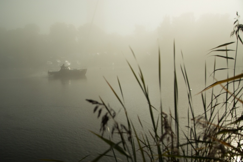 Morning Fog - ID: 15017884 © Ilir Dugolli
